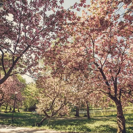 Hotel кайзервальд клуб