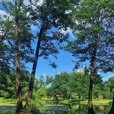 Hotel кайзервальд клуб