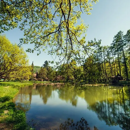 кайзервальд клуб * Karpaty