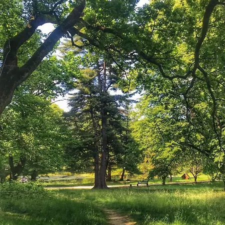 кайзервальд клуб * Karpaty
